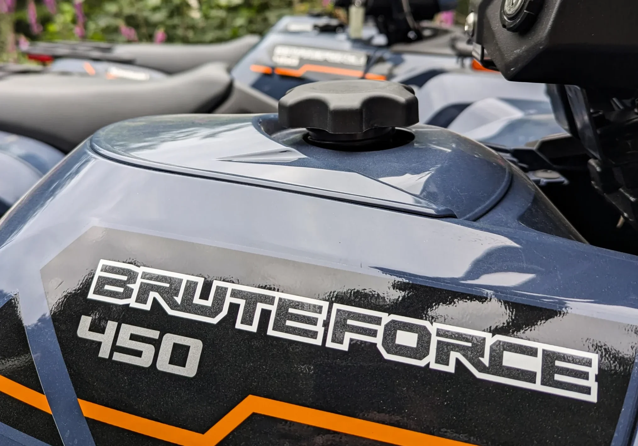 ATV rental example
